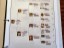 Pedigree Chart